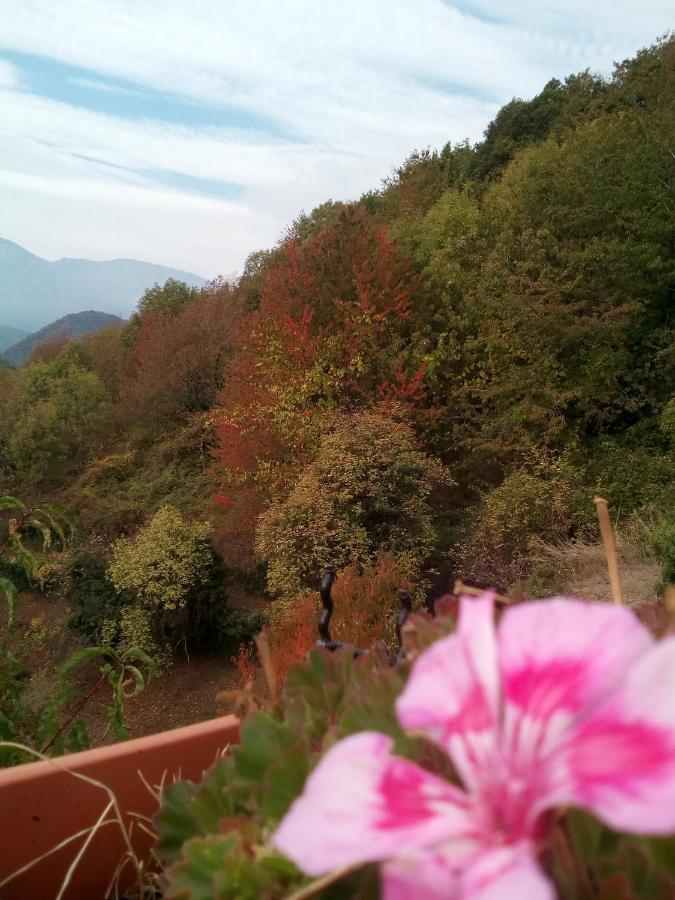 Il Cassero Pomaretto Buitenkant foto