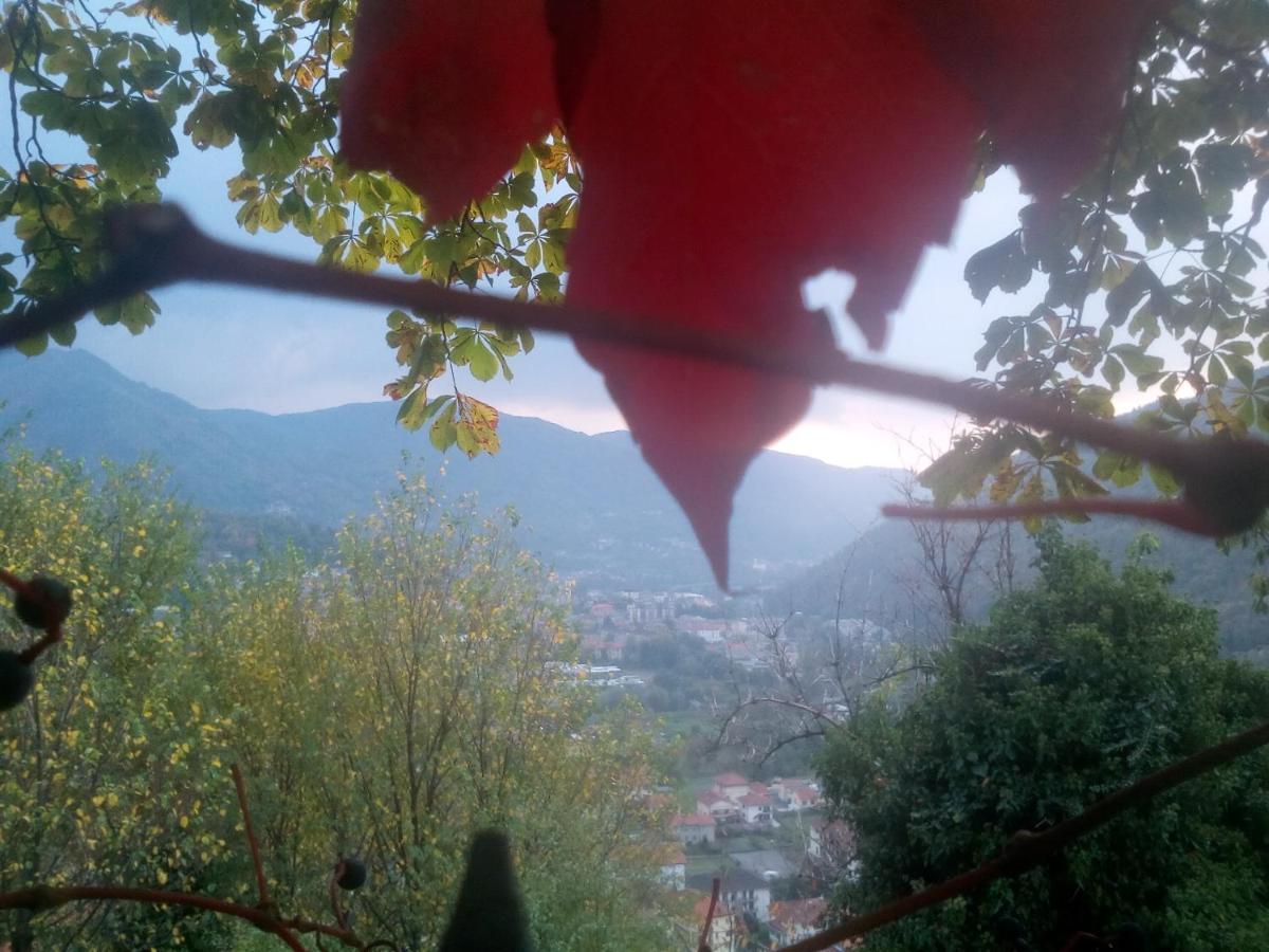 Il Cassero Pomaretto Buitenkant foto