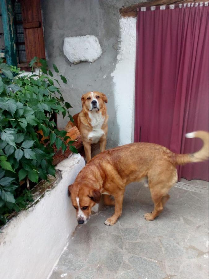 Il Cassero Pomaretto Buitenkant foto