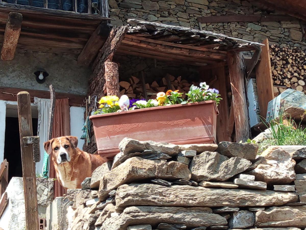 Il Cassero Pomaretto Buitenkant foto