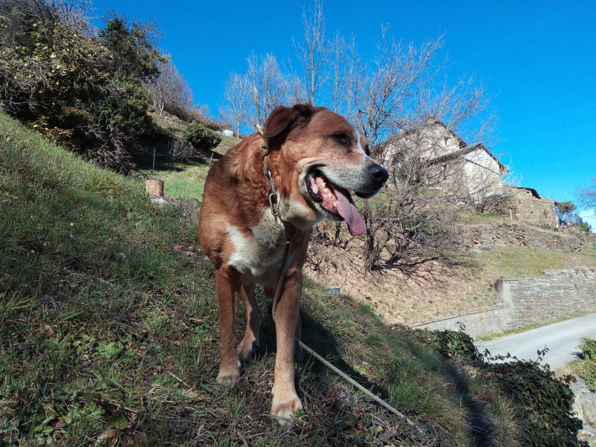 Il Cassero Pomaretto Buitenkant foto